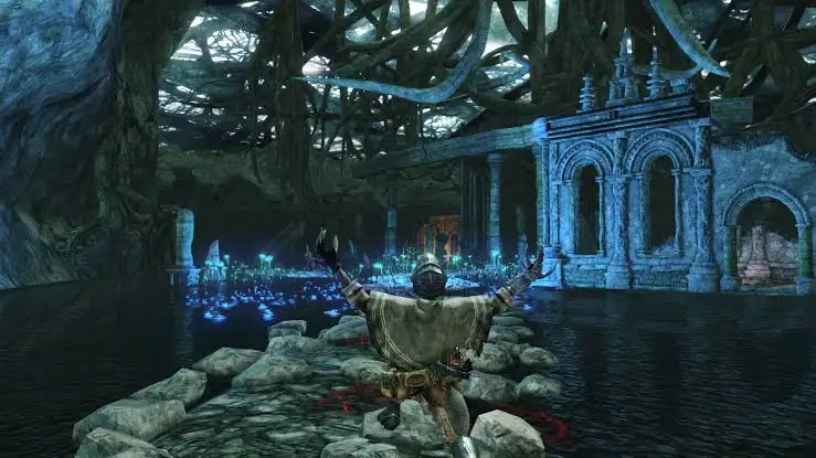 دانلود بازی Dark Souls 2 برای کامپیوتر 1/4